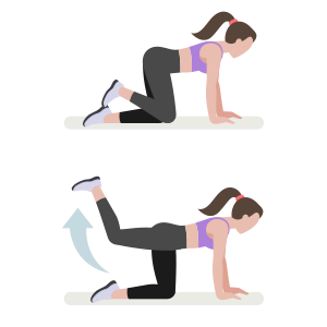 glute-boom-servicios